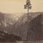 The Best General View of Yosemite