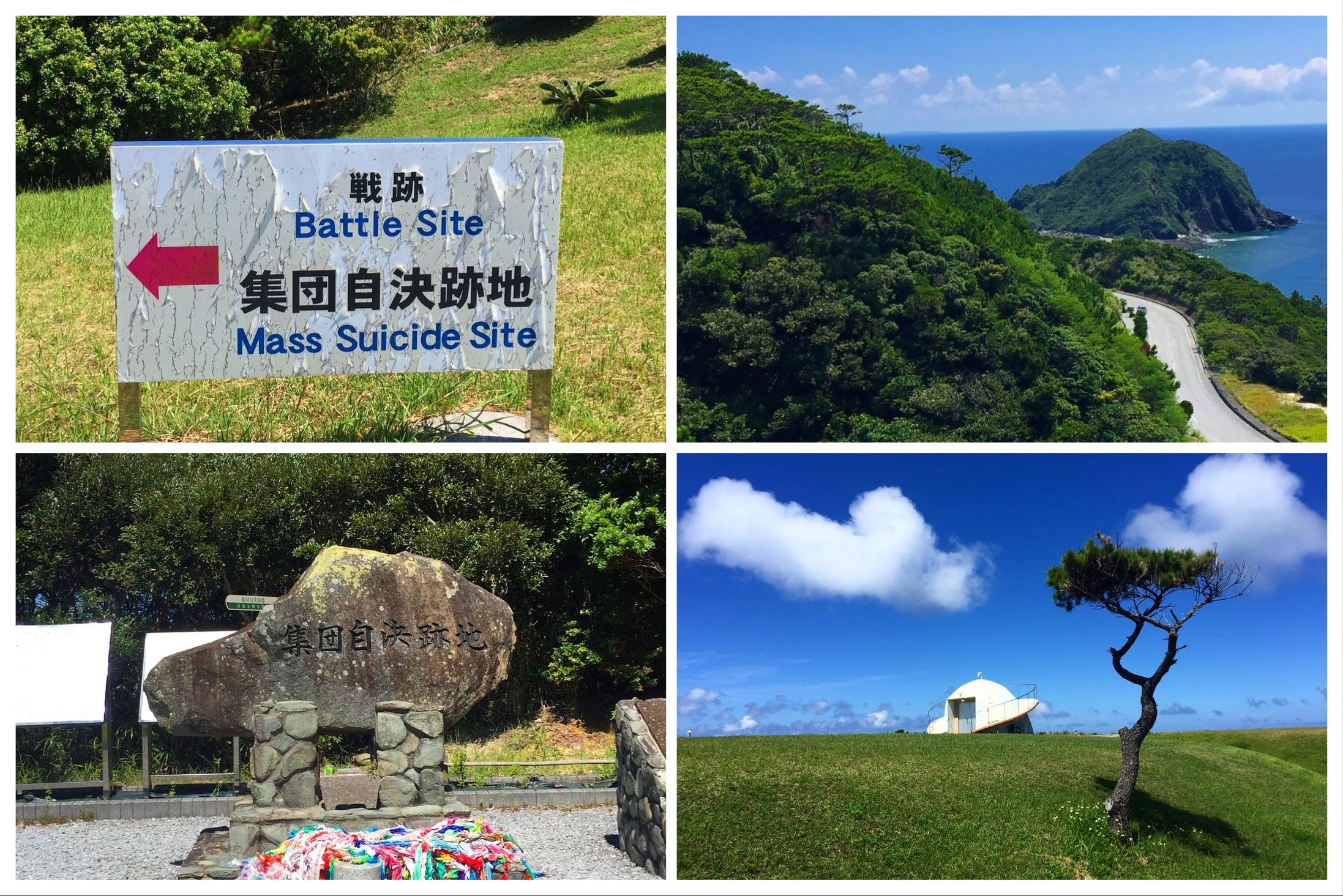 Okinawa Marabika 100SXH 売れなかったら今日で消します Hi Chew