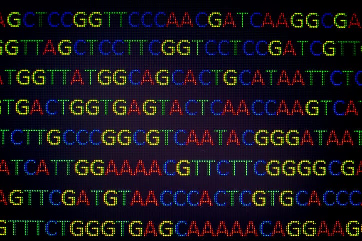 portable genome sequencing portable genome sequencing