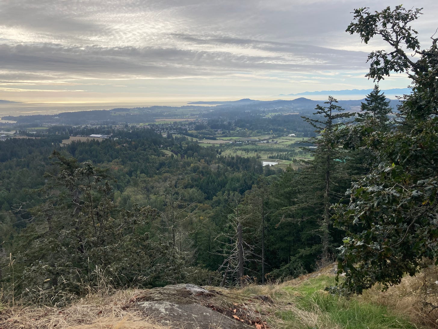 Thin clouds, wide sky and a vast view of farmland and forest from the lookout.