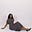 Shyla Cadogan, RD, LDN's avatar