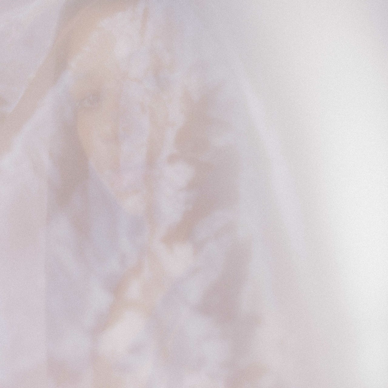  \ud83e\uddff the sex/work & magic digest\ud83d\udd2e