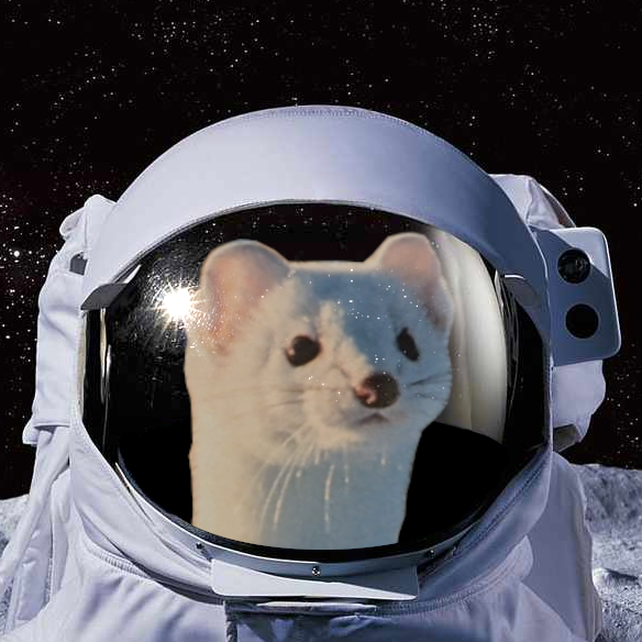 Substack profile picture for @weasel