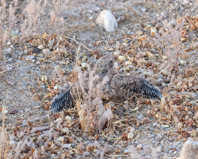 20200625_Things-20-Edit.jpg 20200625_Things-20-Edit.jpg