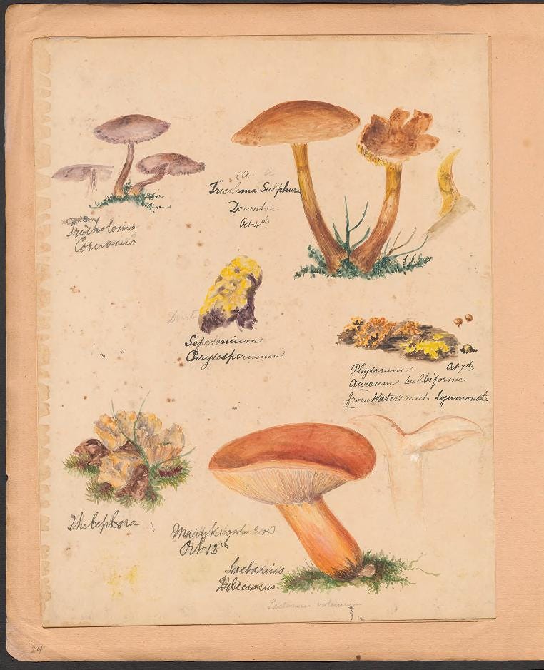 Book page image