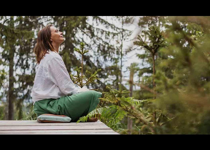 Why Nature-Aligned Health Is Your Best Defense Against Chronic Disease