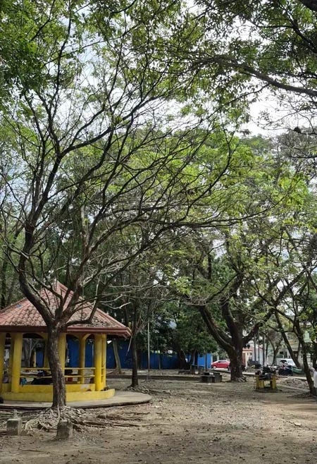 Kwentong Autism: My Conversation with an Old Lady at the Park