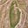Noah's Ark Scans's avatar