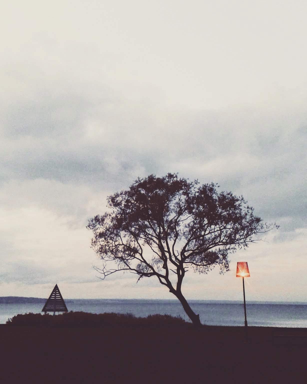 π³ 1 Tree South of WΓ€ttern πΈπͺ ~ Instagram Filter Aden from all Google ...