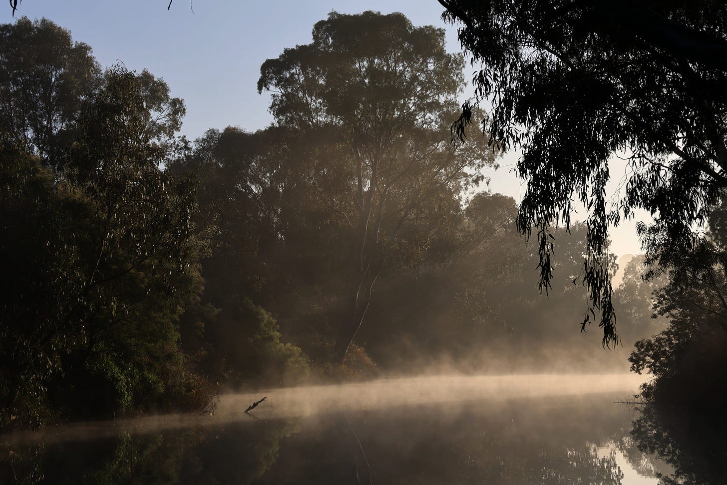 A photograph of a riverscape. In the bottom forground is a barely visible strip of water which has mist rising from it. There are a variety of green trees surrounding the water on either side.