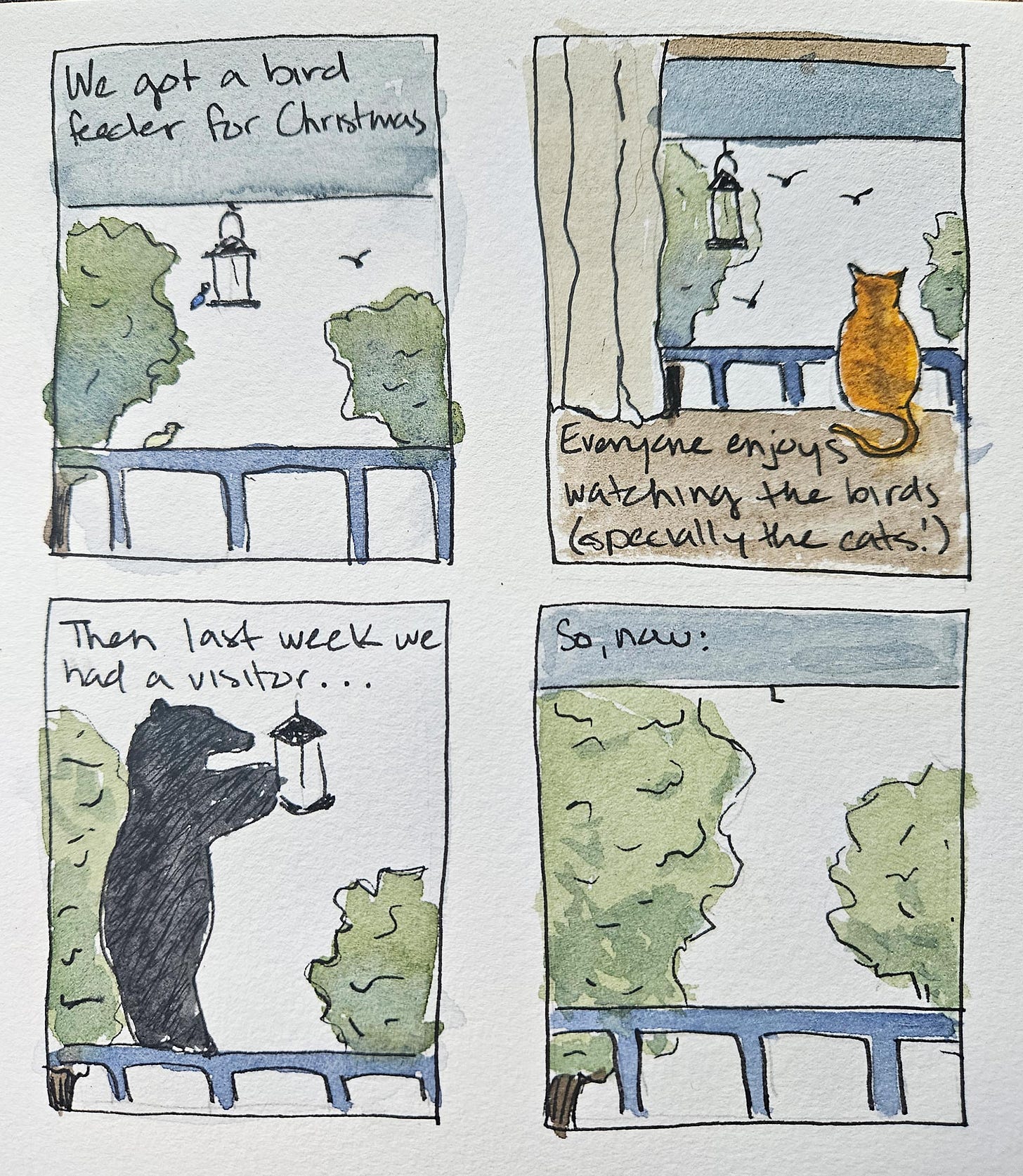 Serena Reed, watercolor diary comic, bird feeder getting taken by bear. Panel 1 text reads: “We got a bird feeder for Christmas.” Panel 2 text reads: “Everyone enjoys watching the birds (especially the cats!)” Panel 3 text reads: “Then last week we had a visitor…” Panel 4 text reads: “So, now”