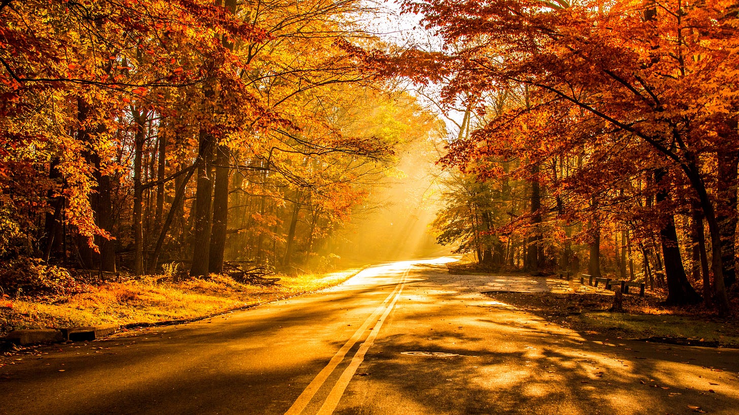 60+ 4K Sunshine Wallpapers | Background Images