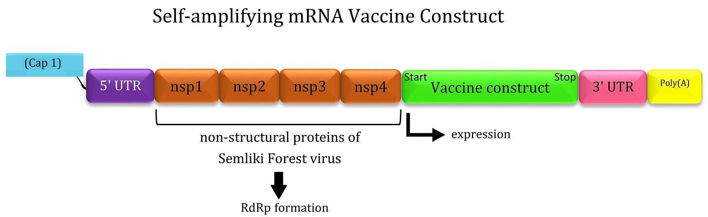 PGEM®-11Zf(+) has two promoter (T7 and SP6) in it, where ... PGEM®-11Zf(+) has two promoter (T7 and SP6) in it, where ...