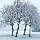 The deep retreat of Winter