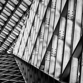 The Global Fund Briefing: The Impact of the Funding Cuts on the Fight Against AIDS, TB and Malaria