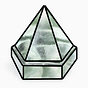 Views Through a Policy Prism