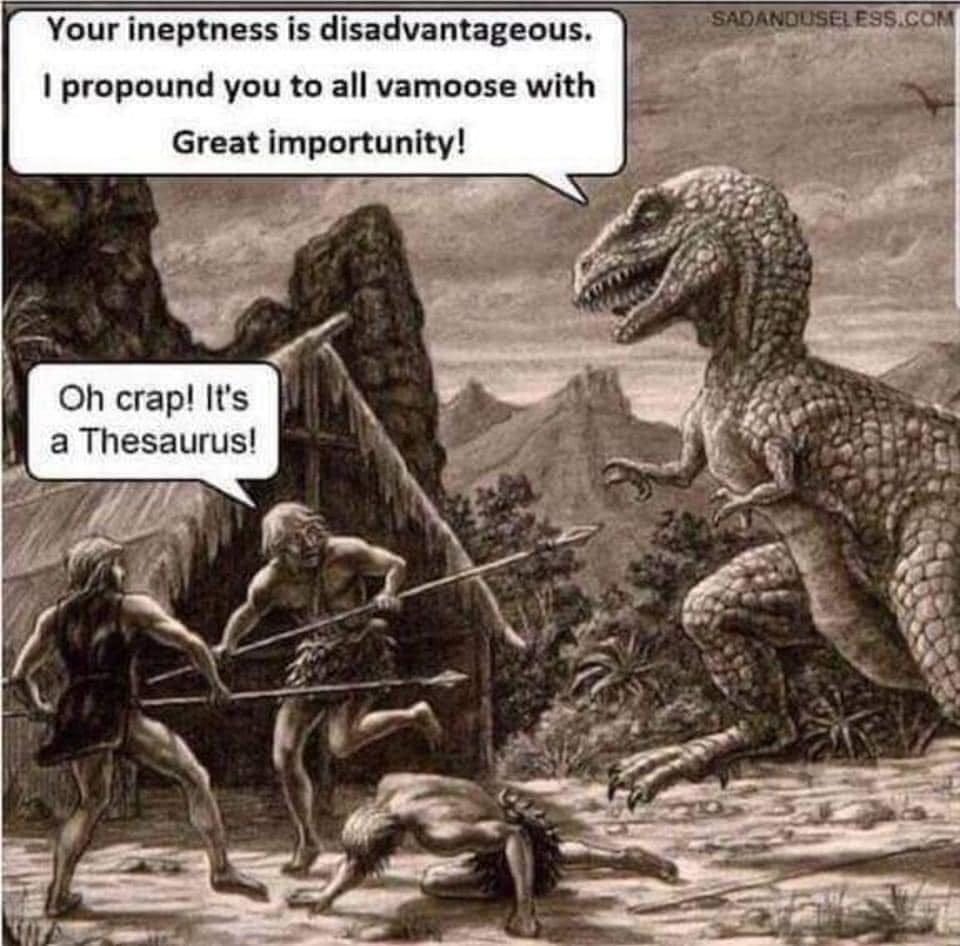May be an image of text that says 'Your ineptness is disadvantageous. propound you to all vamoose with Great importunity! Oh crap! It's a Thesaurus!'