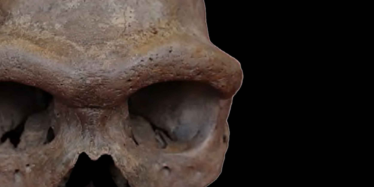 The humanity of a new Denisovan