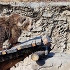 30 Post-Covid Things I Can't Wait to Do