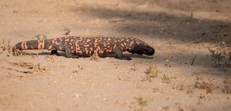 20250906-Manville-325-Edit.jpg 20250906-Manville-325-Edit.jpg