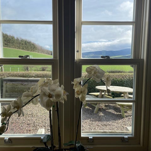 Artwork for This thing called life...