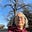 Michelle Proksa's avatar