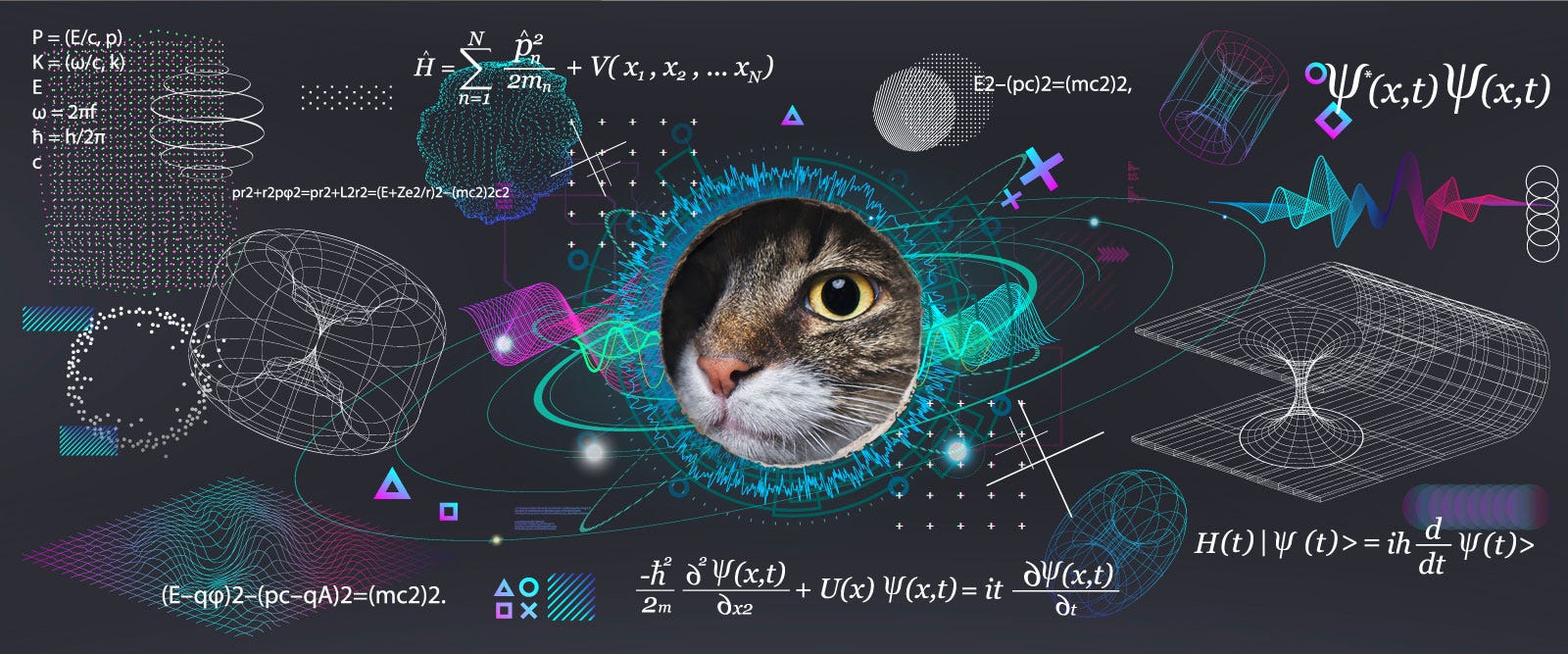 Quantum cat in Schroedinger's Box.