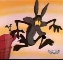 Wile E Coyote and Gravity