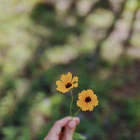 Humanity is in Need of Healing - This secret tool will help us get there