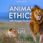 The Wild Life with Devon the Nature Guy