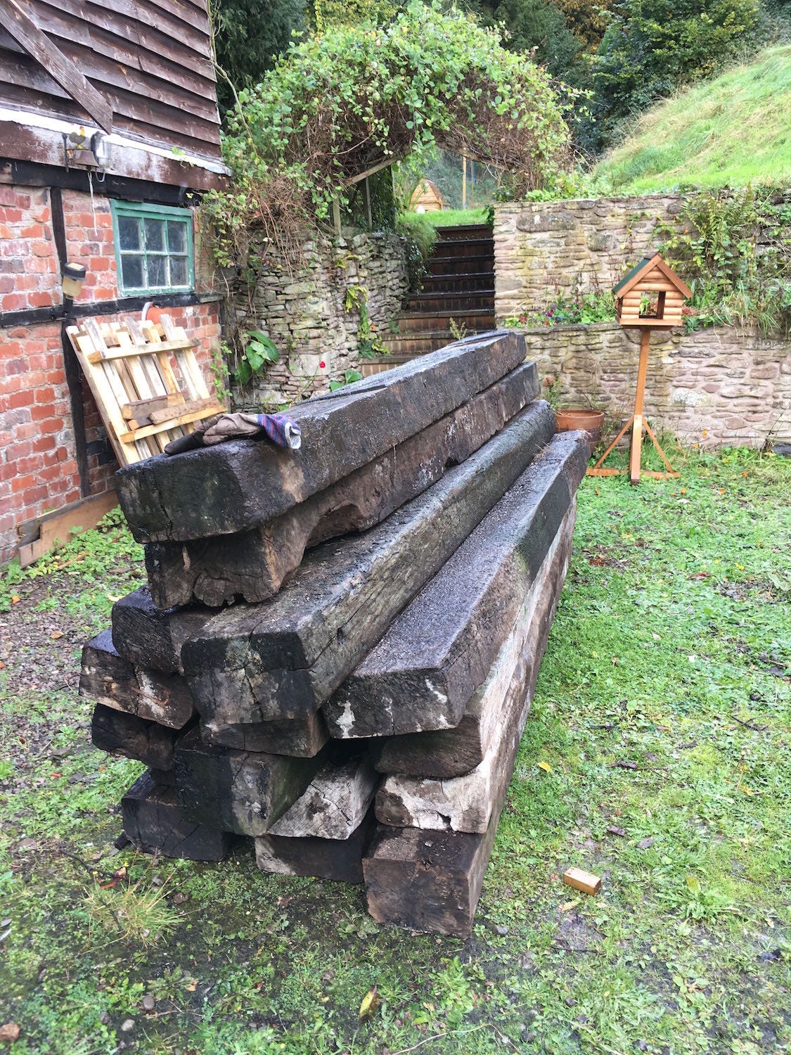 A neat pile of giant railway sleepers in an overgrown backyard