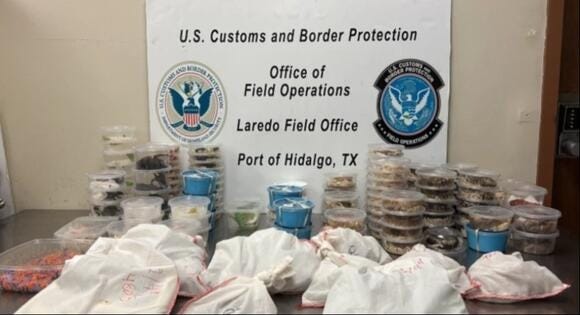 US Customs & Border Protection Officers at the Anzalduas International Bridge seize slithery contraband on October 22, 2025. US Customs & Border Protection Officers at the Anzalduas International Bridge seize slithery contraband on October 22, 2025.
