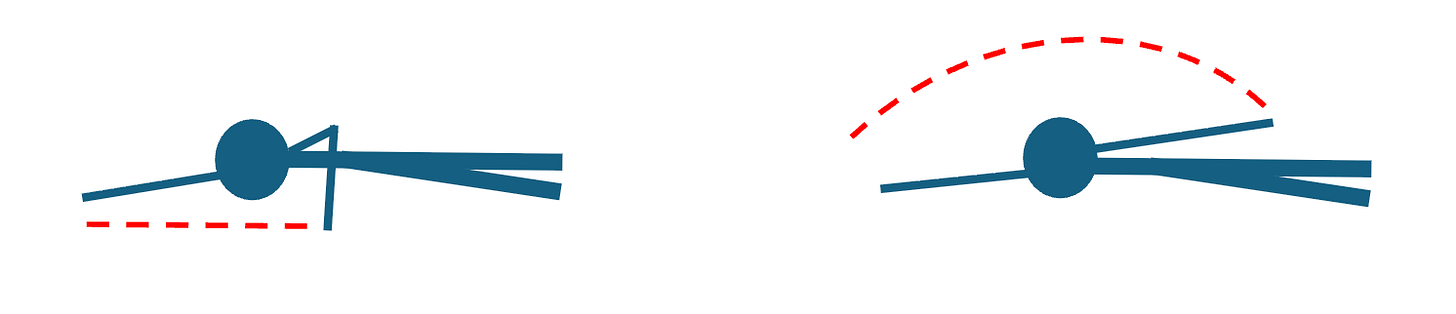 RECOVERY PATHS:  EARLY EXIT VS FINISHING PAST HIPS