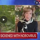 THEY'RE DOING IT AGAIN: Deborah Birx Calls For "Widely Available" PCR "Testing" for Hantavirus, Hints It Should Be Used in Schools 