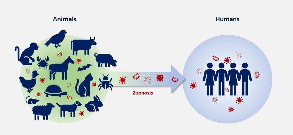 Opinion: Why detecting zoonotic diseases is crucial for global health |  Devex