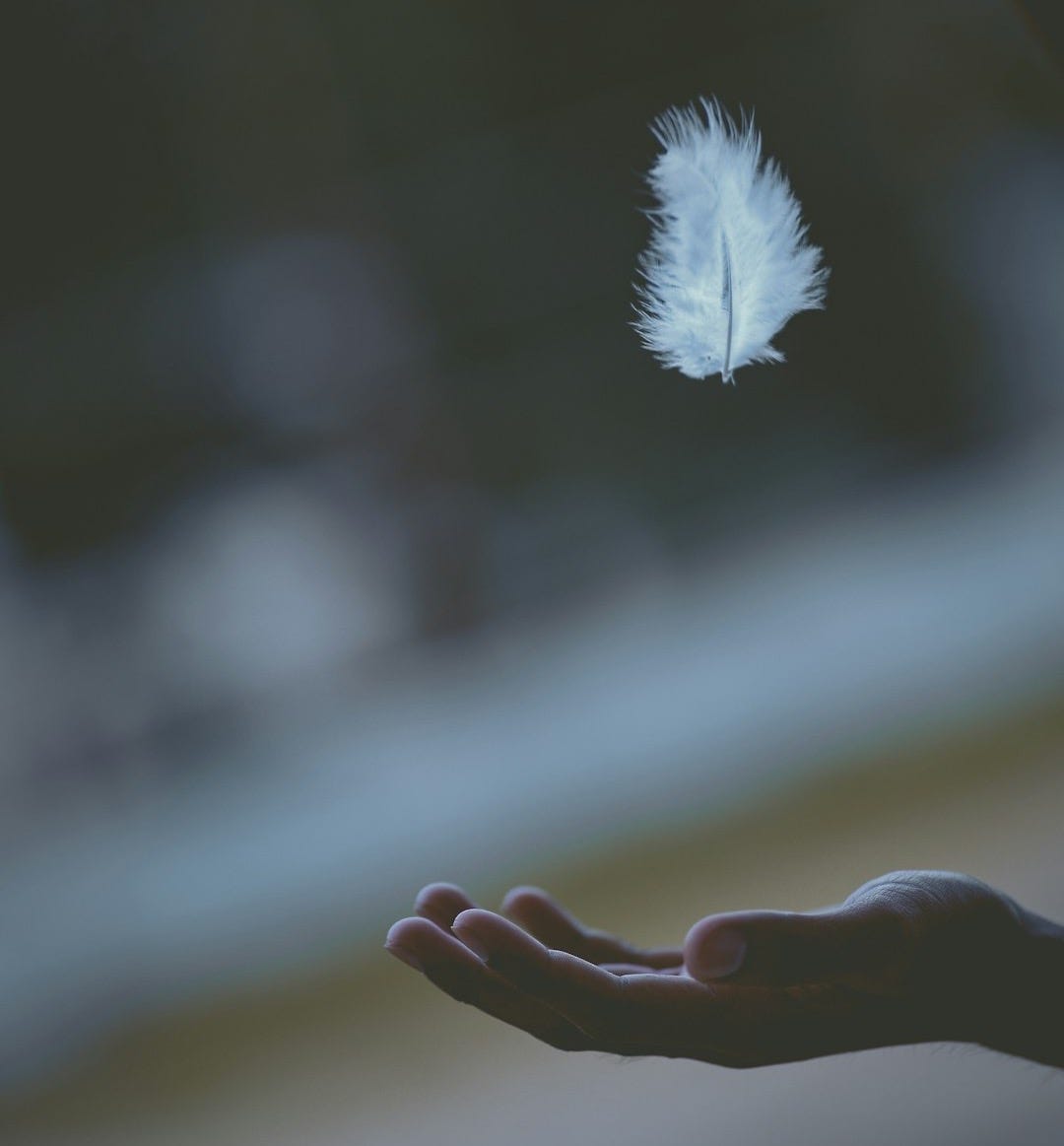 shallow focus photography of white feather dropping in person's hand
