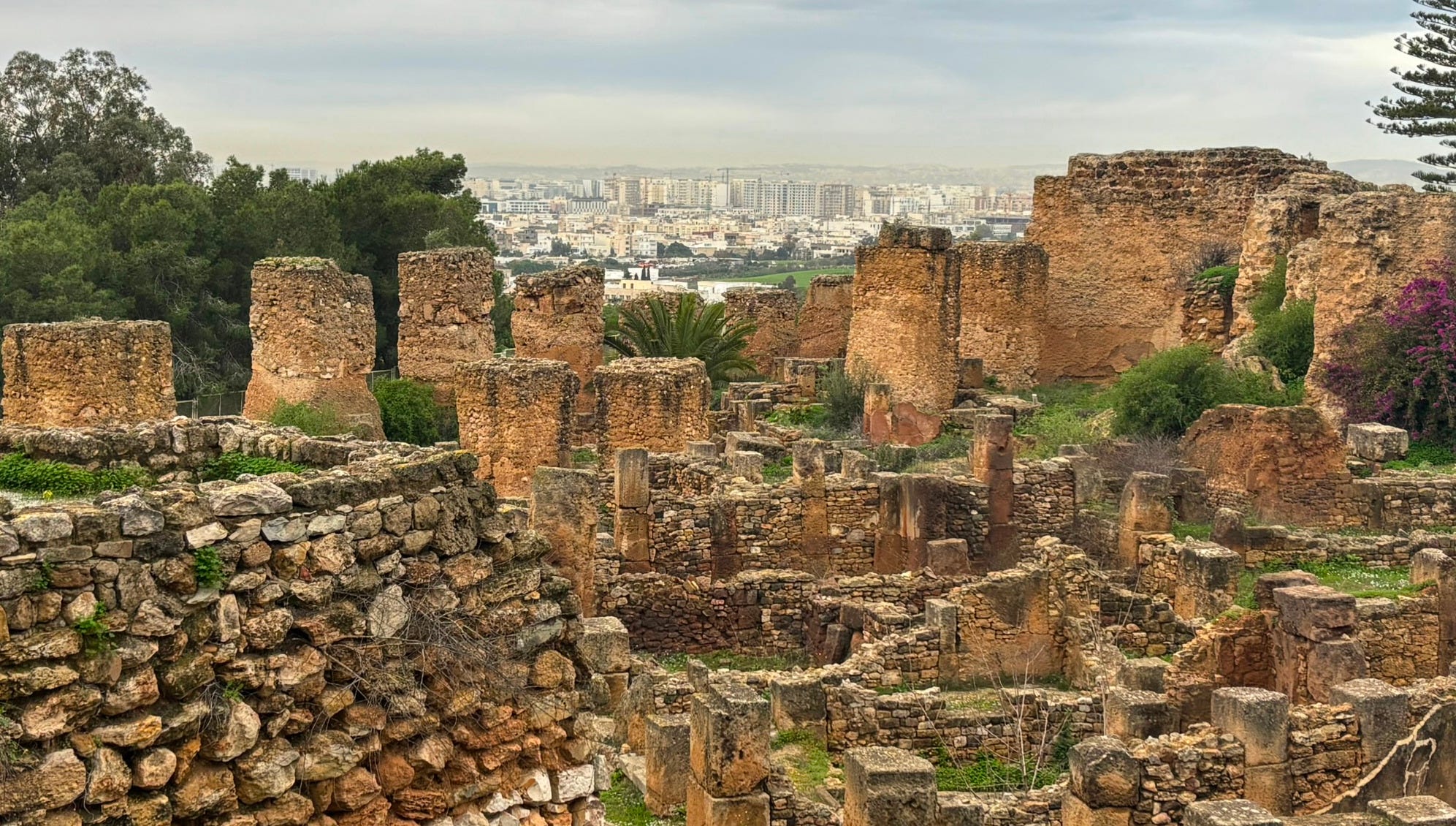 Visiting Byrsa Hill & Carthage Ruins in Tunisia: Guide