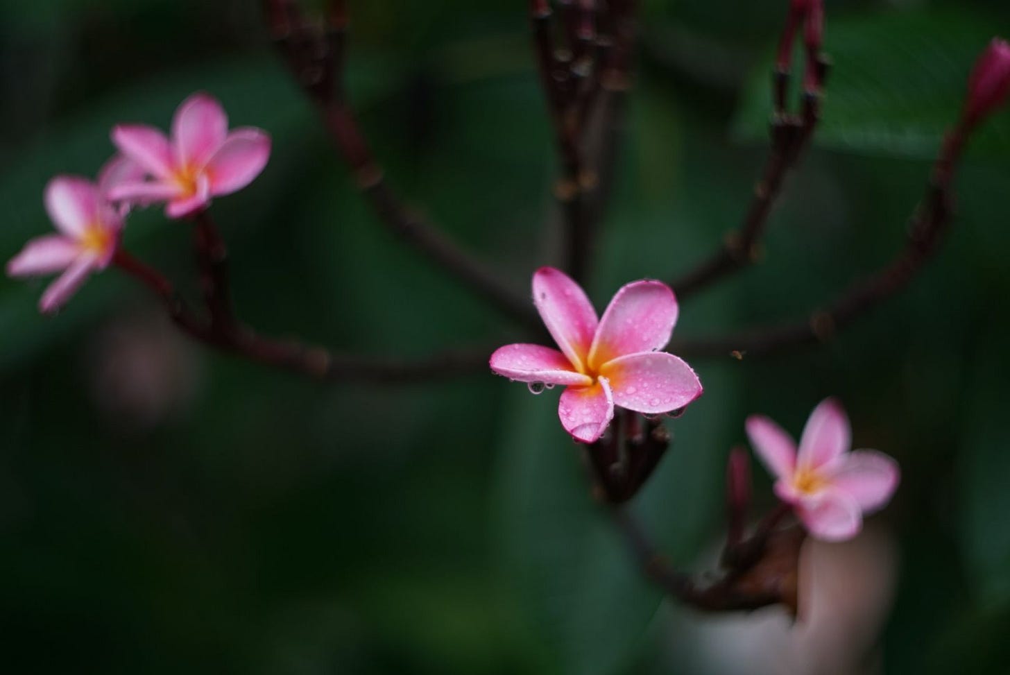 Sortir de la jungle Sortir de la jungle