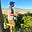 Anston Mendes's avatar