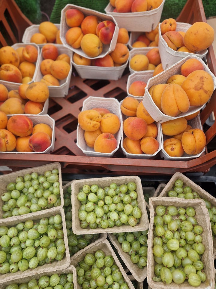 In season July