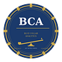 Blue Collar Analytics's avatar