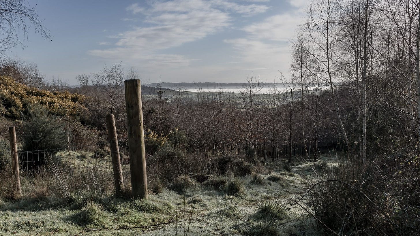 Entrance to Dawlish Park in the Winter