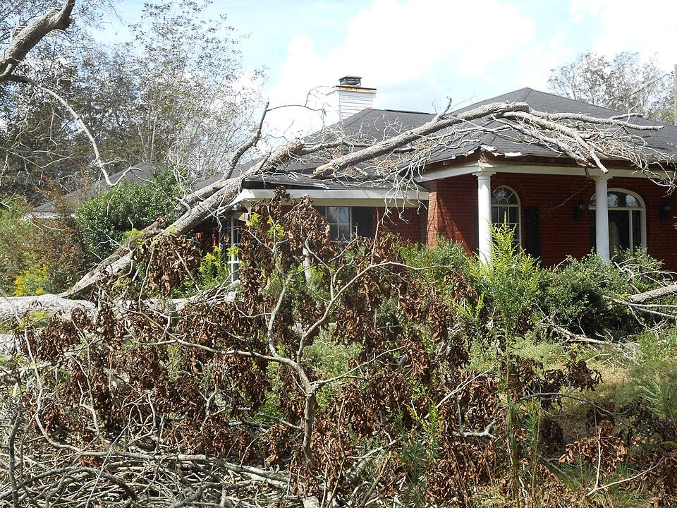 File:Overgrown House in Alabama Field.jpg