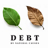Debt by Natural Causes
