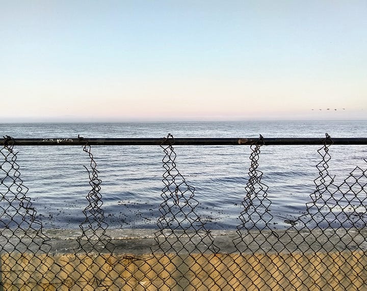Image top left: curly fence shadows. Top right: a friend walking on a train by the sea, lit by sunlight. Bottom left: Shreds of aluminum fencing hanging from a horizontal pole, the ocean behind it. Bottom right: dirt path through an italian-style garden leading to an open door in a stone wall.