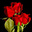 Her_integrity's avatar