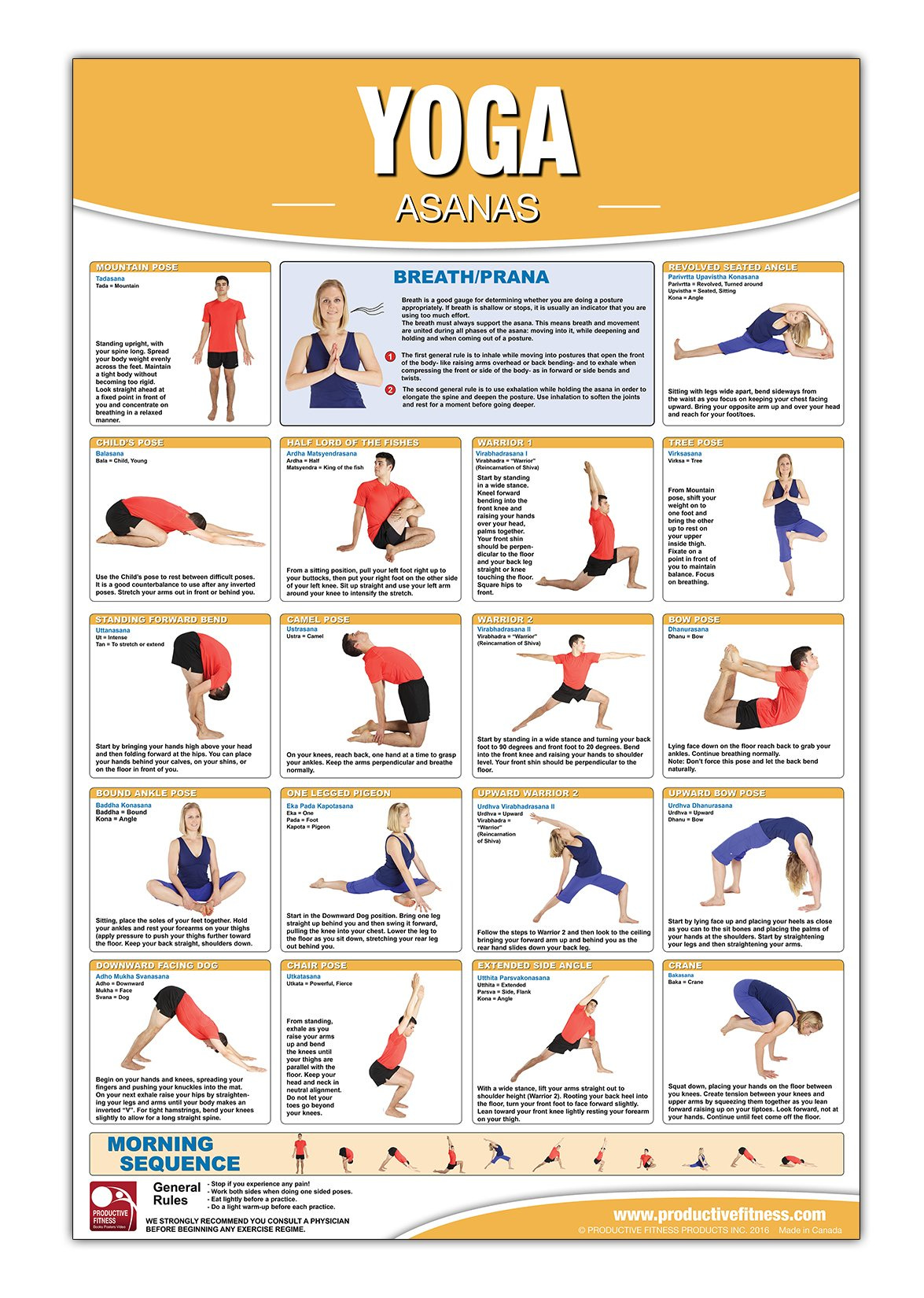 Yoga - Asana Poster/Chart Laminated; Yoga Poster, Yoga Chart, Asana Chart, Yoga  poses, Yoga Stretches Chart, Yoga Workout, Hatha Yoga Chart, Flow Yoga,  Ashtanga Yoga, Yoga Sutras, Yoga Positions: Michael Jespersen:  9781773290416: