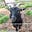 Rose Kourie's avatar