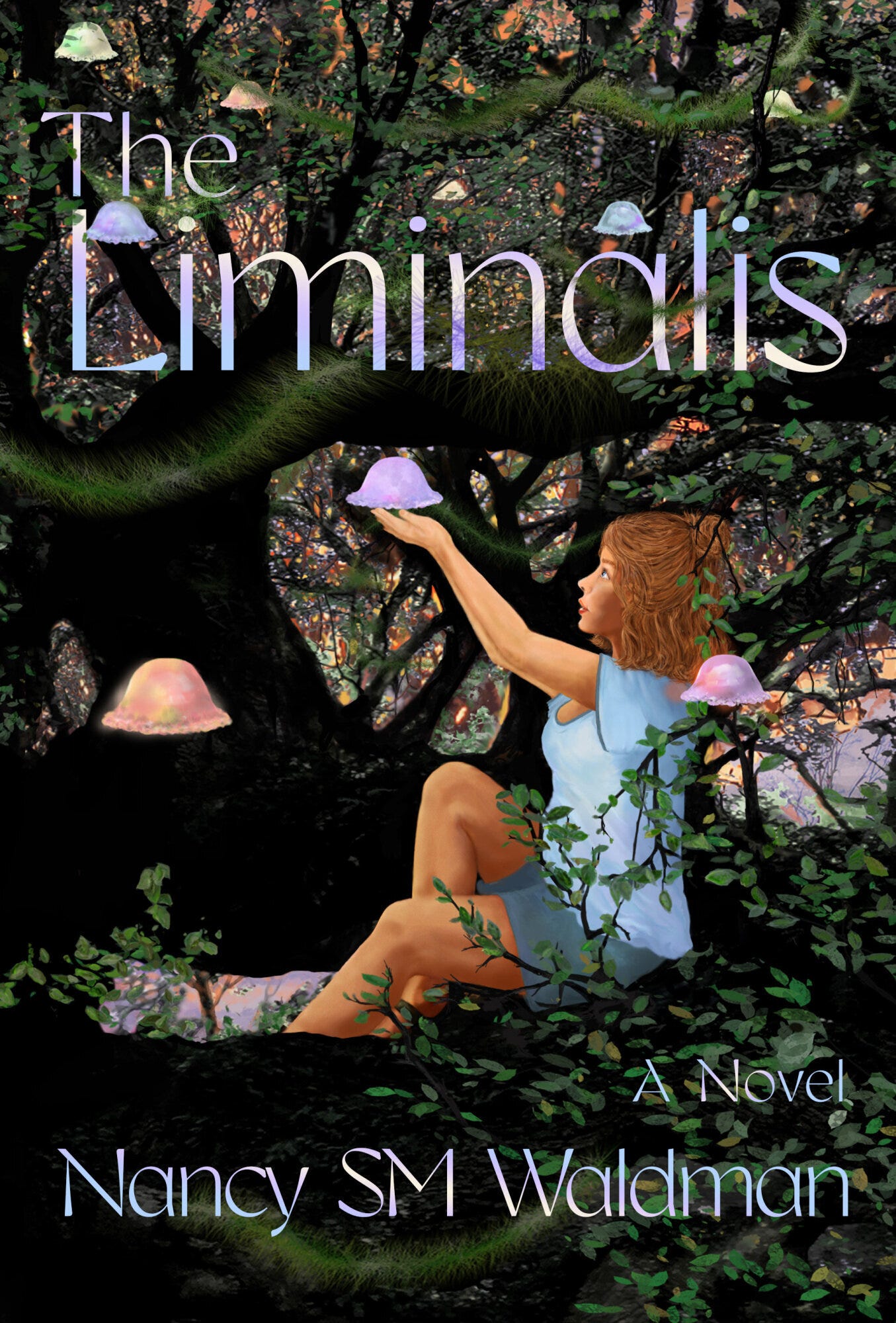 The front cover of The Liminalis a science fiction novel by Nancy SM Waldman