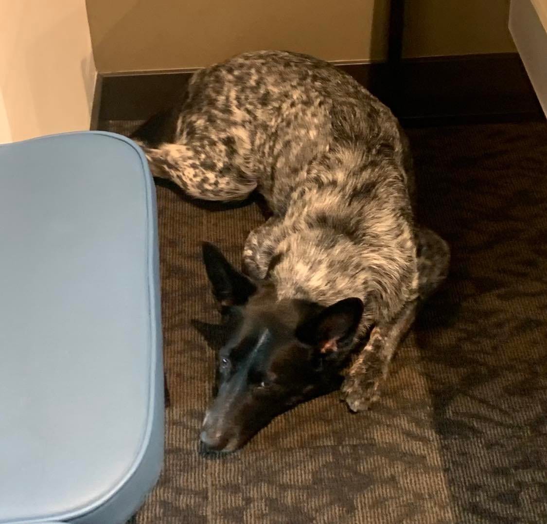 No description available. No description available.